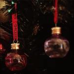 10926347_10101830750889338_8668085793614923101_o