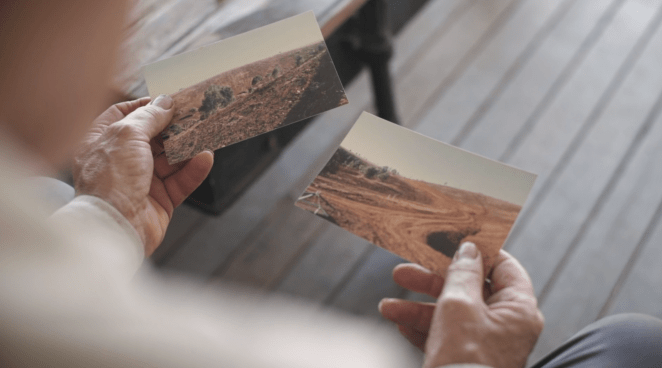 Brookies forest 30 yers ago
