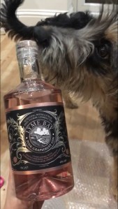 Juniper and Lyme Bay