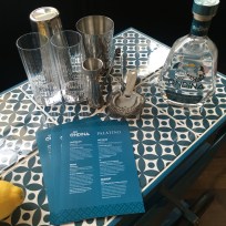 O'ndina gin trolley close 2